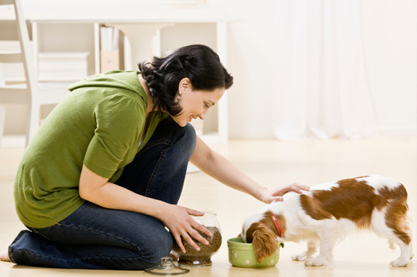 Pet Care and Nutrition Basics