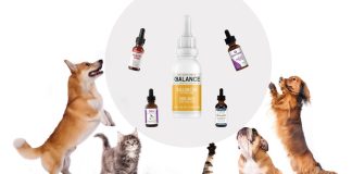 The Benefits of CBD Oil for Dogs With Cancer