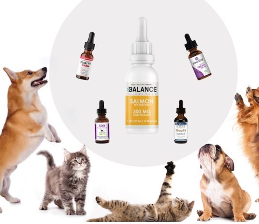 The Benefits of CBD Oil for Dogs With Cancer