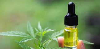 CBD Oil For Dogs