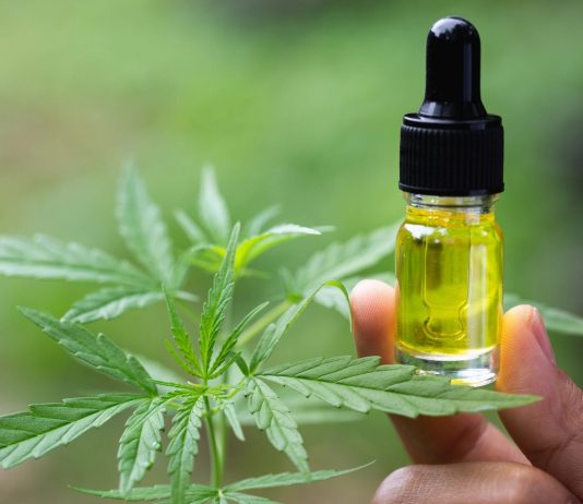 CBD Oil For Dogs